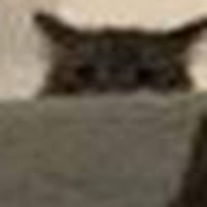 Meet your Posher, Devon